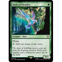 Birds of Paradise - LTC