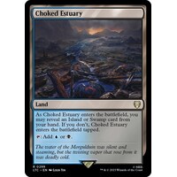 Choked Estuary - LTC