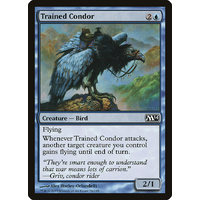 Trained Condor - M14