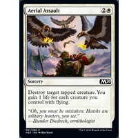 Aerial Assault - M20