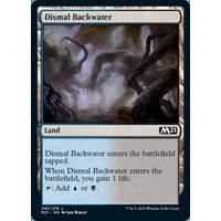 Dismal Backwater - M21