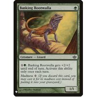 Basking Rootwalla - MB1
