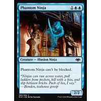 Phantom Ninja - MH1
