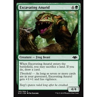 Excavating Anurid - MH1