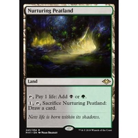 Nurturing Peatland - MH1