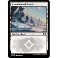 Snow-Covered Wastes (0229) - MH3