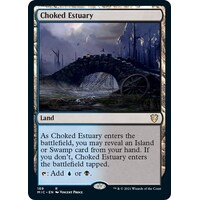 Choked Estuary - MIC