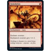 Immolation - MID