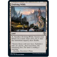 Evolving Wilds - MID