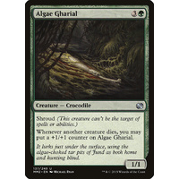 Algae Gharial - MM2