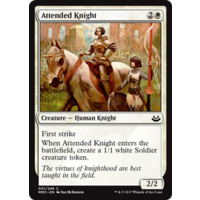 Attended Knight - MM3