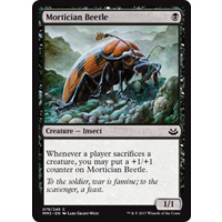 Mortician Beetle - MM3