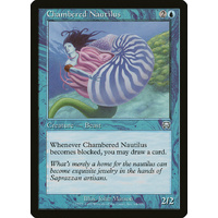 Chambered Nautilus - MMQ