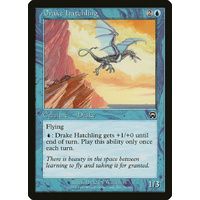Drake Hatchling - MMQ