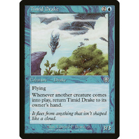 Timid Drake - MMQ