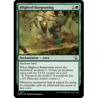 Blighted Burgeoning - MOM
