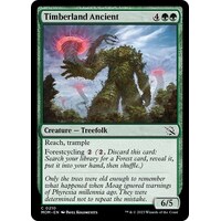 Timberland Ancient FOIL - MOM