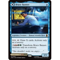 Bruce Banner - MSH