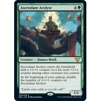 Ascendant Acolyte - NEC