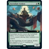 Ascendant Acolyte (Extended Art) - NEC