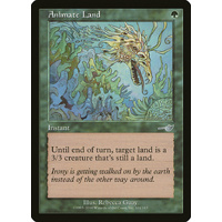 Animate Land - NEM