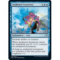 Awakened Awareness - NEO