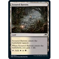 Scoured Barrens - NEO