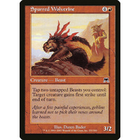 Spurred Wolverine - ONS