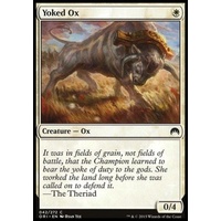 Yoked Ox - ORI