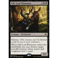 Gilt-Leaf Winnower - ORI