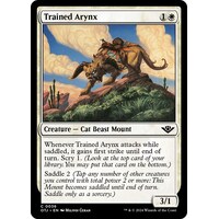 Trained Arynx - OTJ