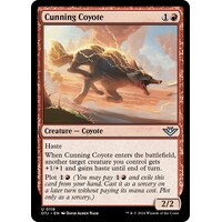 Cunning Coyote - OTJ
