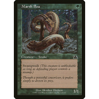 Marsh Boa - PCY