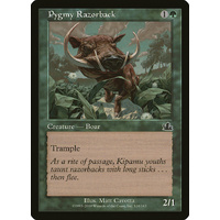 Pygmy Razorback - PCY