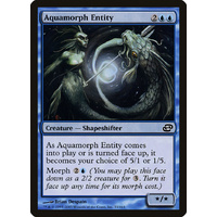 Aquamorph Entity - PLC