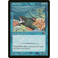 Coral Eel - POR