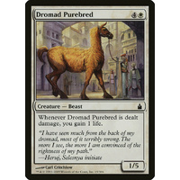 Dromad Purebred FOIL - RAV