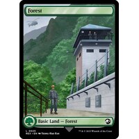 Forest FOIL - REX