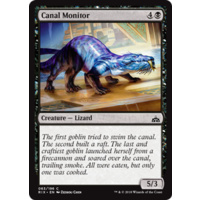 Canal Monitor - RIX