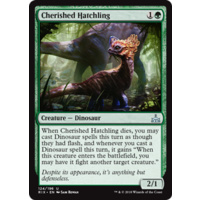Cherished Hatchling - RIX