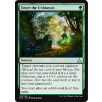 Enter the Unknown - RIX