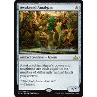 Awakened Amalgam - RIX