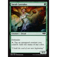 Saruli Caretaker - RNA
