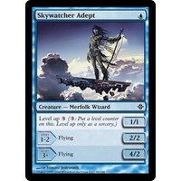 Skywatcher Adept - ROE