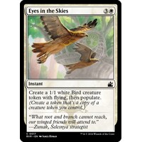 Eyes in the Skies - RVR