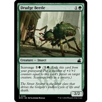 Drudge Beetle - RVR