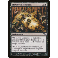 Blowfly Infestation - SHM