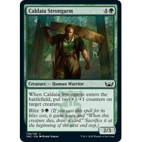 Caldaia Strongarm FOIL - SNC