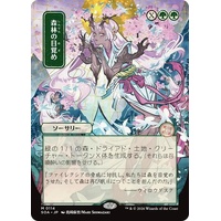 Awaken the Woods (JP Alternate Art) - SOA