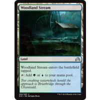 Woodland Stream - SOI